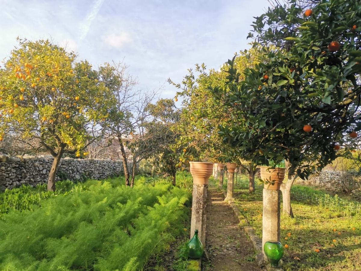 Dimora Margherita In Salento Struda Kültér fotó